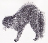 drawing of cat with hair poofed out